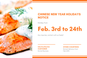 Spring Festival Holiday Notice