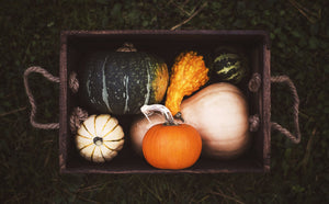 11 Ways To Eat Pumpkin All Four Season