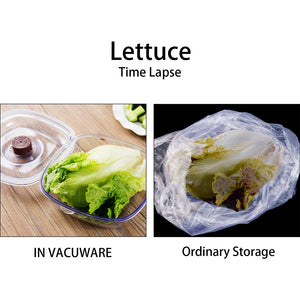 Lettuce, in vacuware, ordinary storage